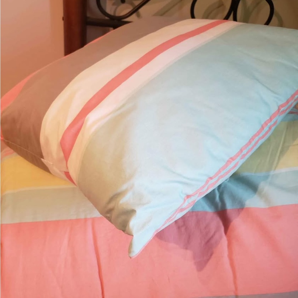 Queen Comforter and Pillow and two Pillow Shams